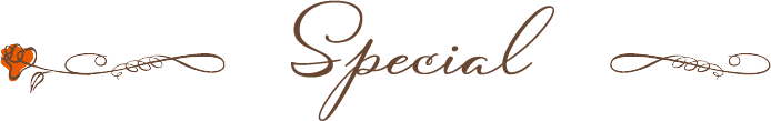 スペシャルメニュー Special Menu